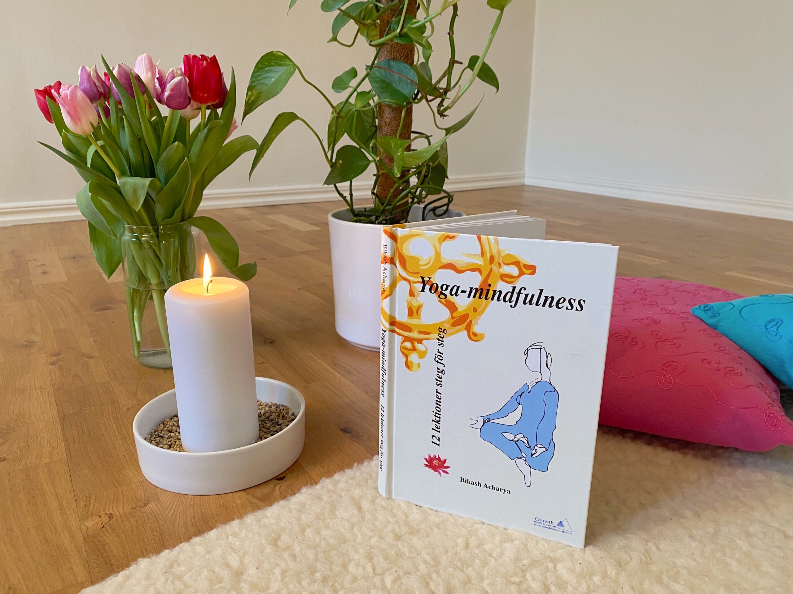 Yoga prova på